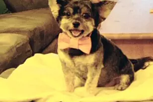 220 E 54th St, New York City, NY 10022 - Photo 11