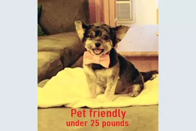 220 E 54th Street #3C, New York City, NY 10022 - Photo 9