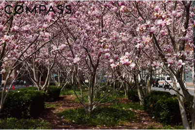 388 Bridge Street #37D, New York City, NY 11201 - Photo 31