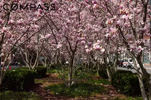 388 Bridge St, New York City, NY 11201 - Photo 31