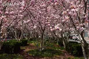 388 Bridge St, New York City, NY 11201 - Photo 31