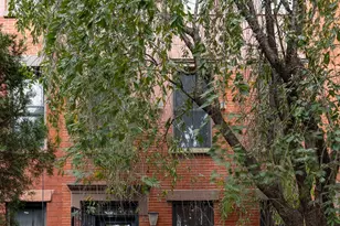 221 Prospect Pl, New York City, NY 11238 - Photo 15