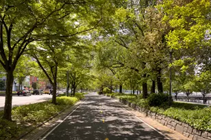 150 Charles St, New York City, NY 10014 - Photo 29