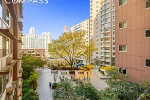 555 Main St, New York City, NY 10044 - Photo 13