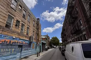 267 Troy Ave, New York City, NY 11213 - Photo 3