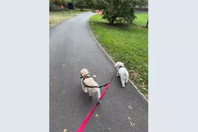 382 Central Park W #16-U, New York City, NY 10025 - Photo 23