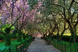 110 Central Park S, New York City, NY 10019 - Photo 19