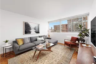 595 Main St, New York City, NY 10044 - Photo 1