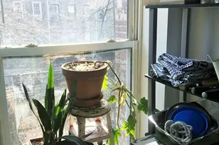 444 Halsey St, Brooklyn, NY 11233 - Photo 3