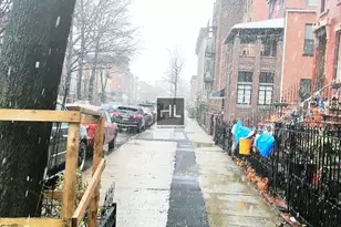 444 Halsey St, Brooklyn, NY 11233 - Photo 13