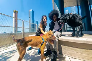 555 10th Ave, New York City, NY 10018 - Photo 5