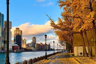 555 Main St, New York, NY 10044 - Photo 13