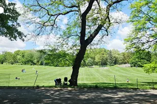 1200 5th Ave, New York, NY 10029 - Photo 19