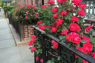 177 9th Ave, New York City, NY 10011 - Photo 27