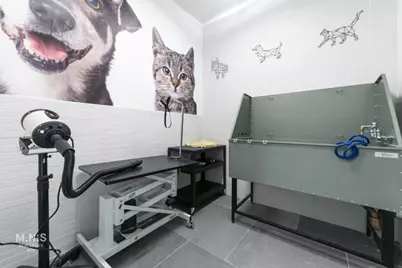 93 Linden Street #J-4, New York City, NY 11221 - Photo 5