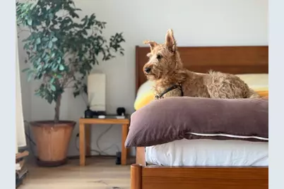 189 Conover Street #2A, New York City, NY 11231 - Photo 17