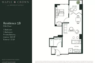 537 Brooklyn Ave, New York City, NY 11225 - Photo 37