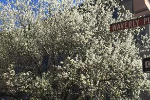 161 W 10th St, New York City, NY 10014 - Photo 17