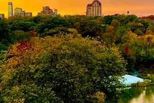 1270 5th Ave, New York City, NY 10029 - Photo 15