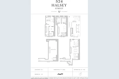 524 Halsey Street #TH1, New York City, NY 11233 - Photo 17