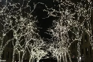 210 E 73rd St, New York, NY 10021 - Photo 13