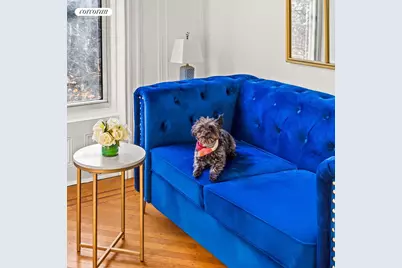 514 9th Street #3, Brooklyn, NY 11215 - Photo 9