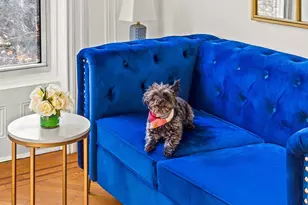 514 9th St, Brooklyn, NY 11215 - Photo 9