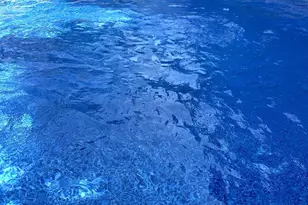 215 Lawrence Ave, New York City, NY 10310 - Photo 41