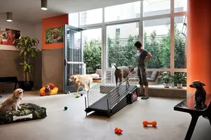 460 W 42nd St, New York City, NY 10036 - Photo 21