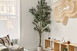 651 Vanderbilt St, Brooklyn, NY 11218 - Photo 5