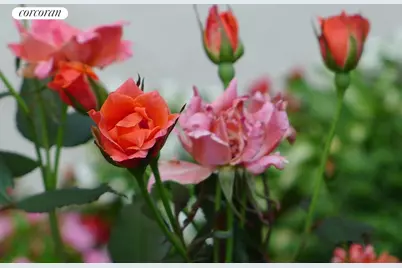 400 Central Park W #12W, New York, NY 10025 - Photo 13