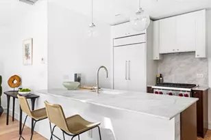 232 Adelphi St, New York City, NY 11205 - Photo 5