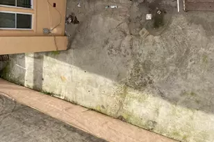 321 Milford St, Brooklyn, NY 11208 - Photo 23