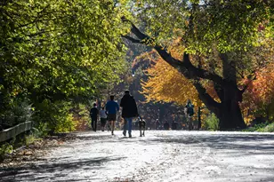 676 Union St, New York City, NY 11215 - Photo 23