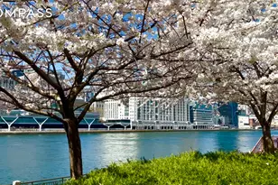 555 Main St, New York City, NY 10044 - Photo 13