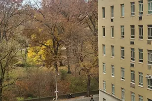 860 5th Ave, New York City, NY 10065 - Photo 15