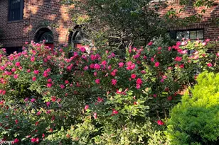 34-29 87th St, New York City, NY 11372 - Photo 15