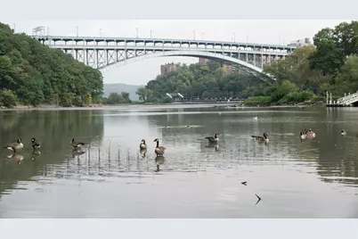 72 Park Terrace W #E-56, New York, NY 10034 - Photo 21