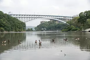 72 Park Terrace W, New York, NY 10034 - Photo 21