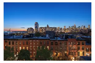 297 Hicks St, New York City, NY 11201 - Photo 49