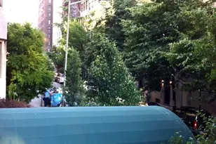 870 5th Ave, New York City, NY 10065 - Photo 11