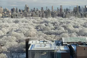 101 W 79th St, New York City, NY 10024 - Photo 13