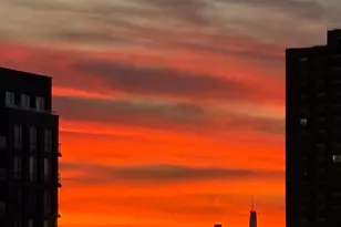 70-31 108th St, Forest Hills, NY 11375 - Photo 9