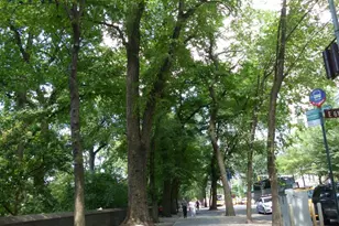 110 E 61st St, New York City, NY 10021 - Photo 15