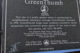 335 Jerome St, New York City, NY 11207 - Photo 7