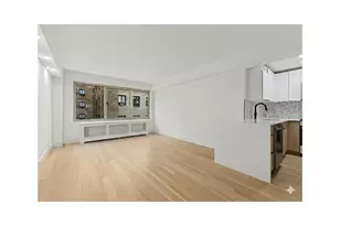 225 E 46th St, New York, NY 10017 - Photo 5