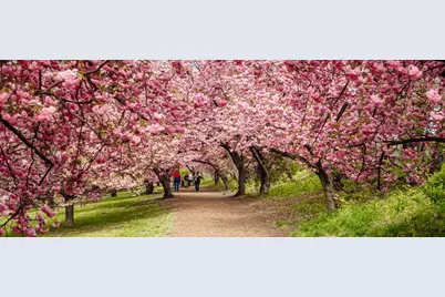 4 W 101st Street #58, New York City, NY 10025 - Photo 13