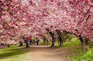 4 W 101st St, New York City, NY 10025 - Photo 13