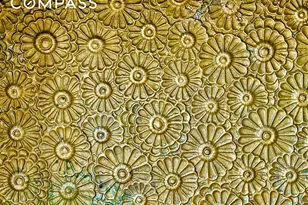 292 Halsey St, Brooklyn, NY 11216 - Photo 5