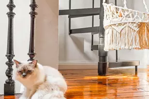 154a Hicks St, Brooklyn, NY 11201 - Photo 29